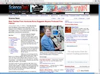 screenshot of website