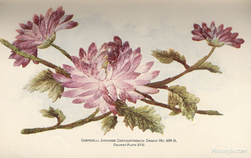 Corticelli Home Needlework pattern
