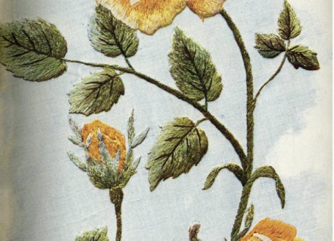 Corticelli Home Needlework online
